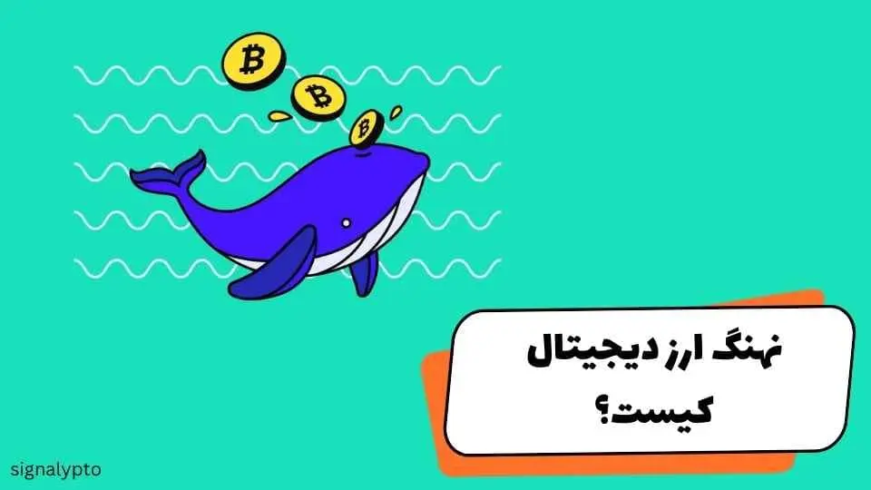 نهنگ ارز دیجیتال چیست؟ + بررسی تاثیر آن بر قیمت بیت کوین!