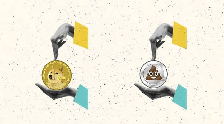 تفاوت بین میم‌ کوین و شت‌ کوین