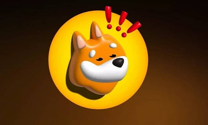 بونک (BONK)
